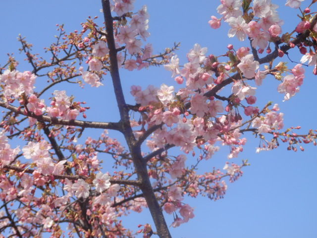 20140315_15