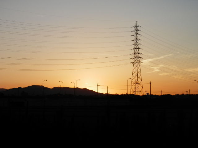 P7311662