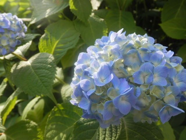 20130526_138