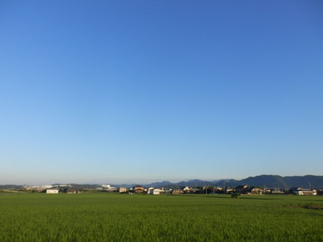P7311666