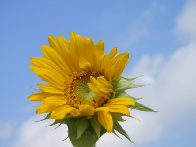087