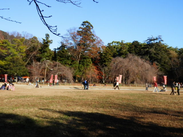 20121125_32