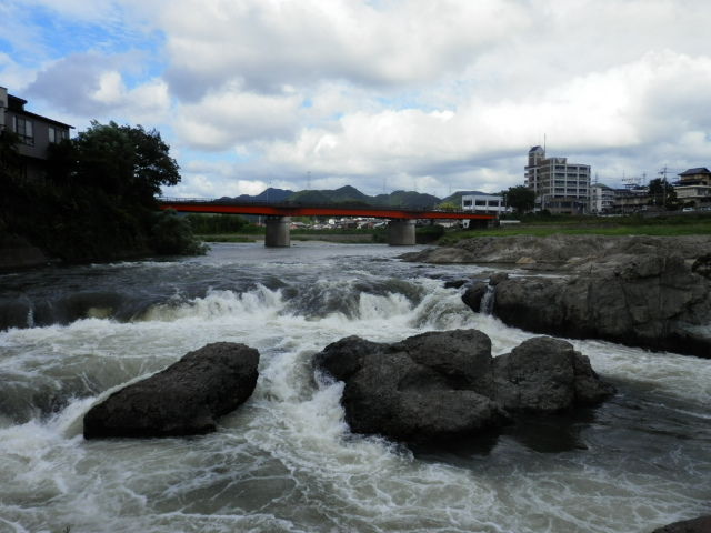 P8152038