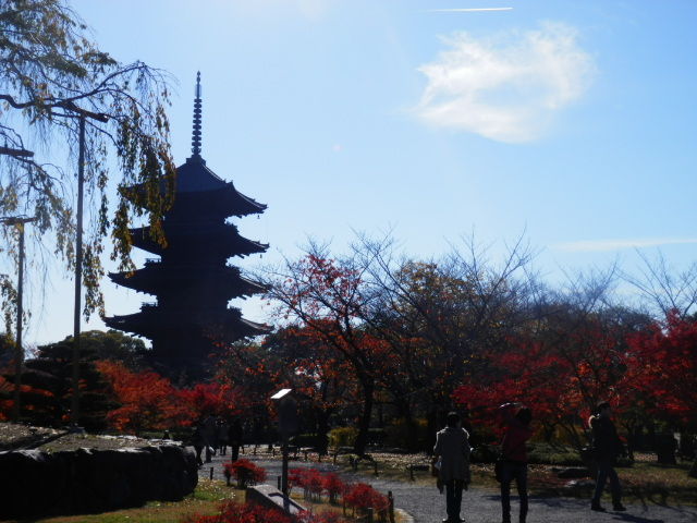 20121125_07