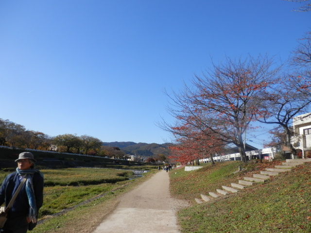 20121125_25