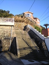39c67062.jpg