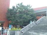 472976e8.jpg