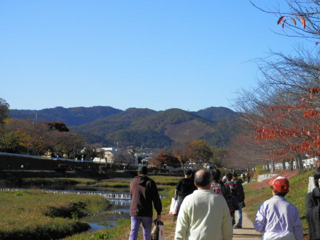 20121125_24