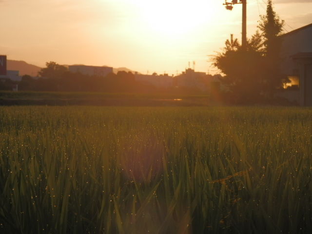 P8031717