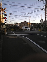 651db841.jpg