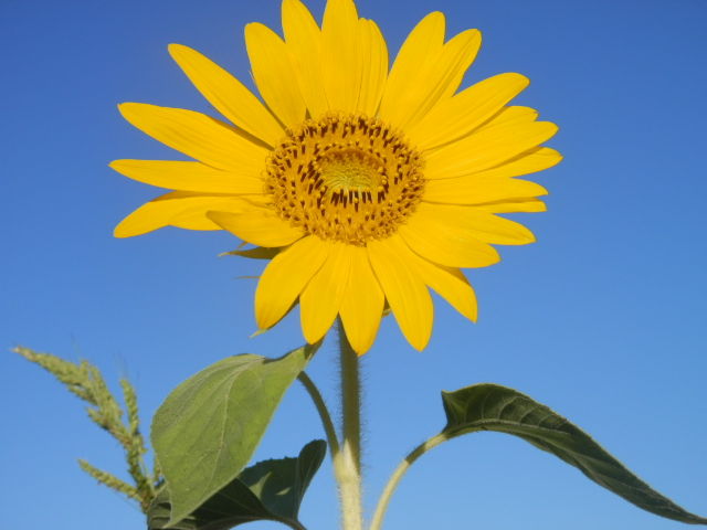 P8011683