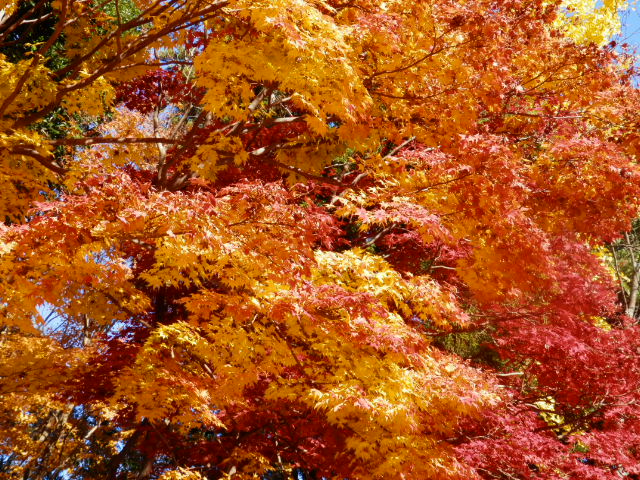 20121125_28