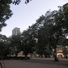 P8041839