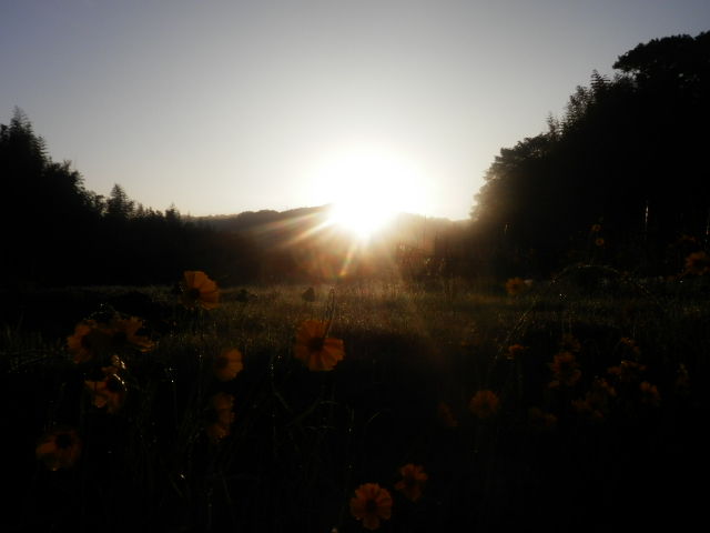 20130531_03
