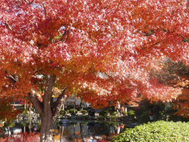 20121125_10
