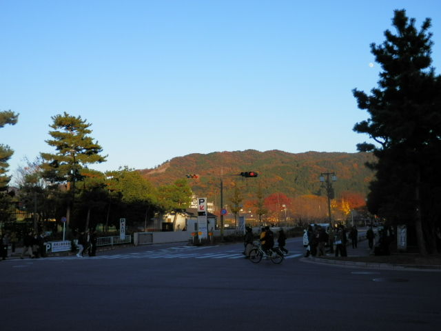 20121125_41