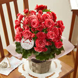 843f84d6.jpg