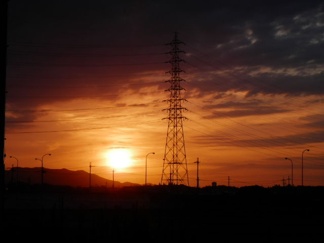 P8031713