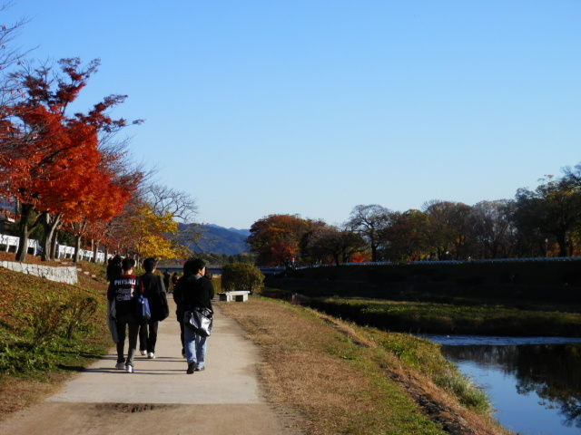 20121125_35