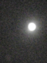 8b22b472.jpg