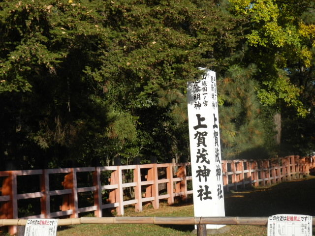 20121125_34