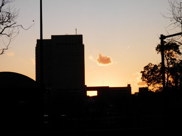 20121231_20
