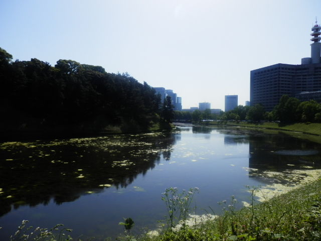 20130524_25