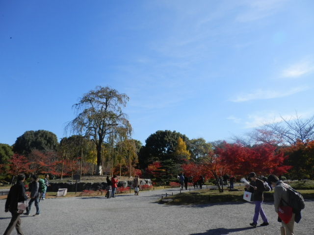 20121125_19
