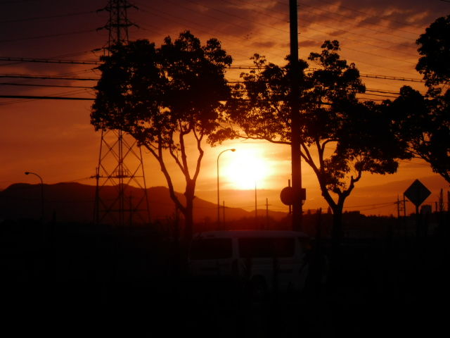 P8031712