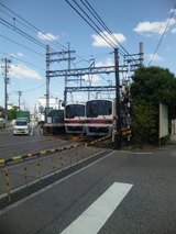 c41c7155.jpg