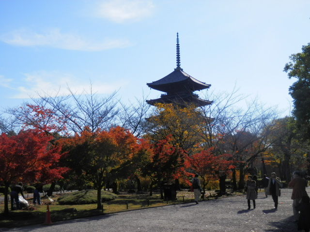 20121125_18