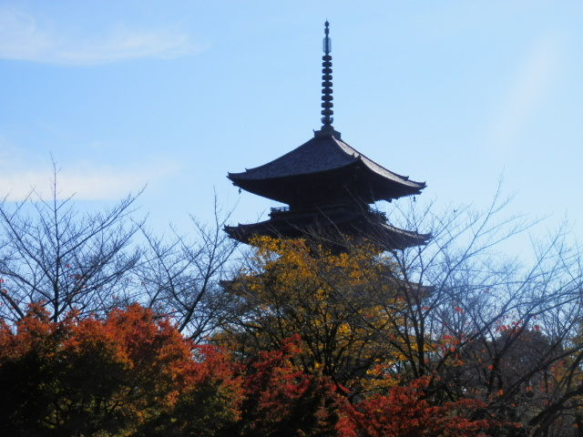 20121125_17