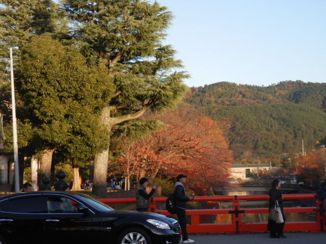 20121125_38
