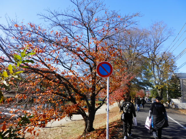 20121125_23