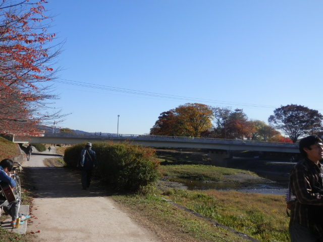 20121125_26