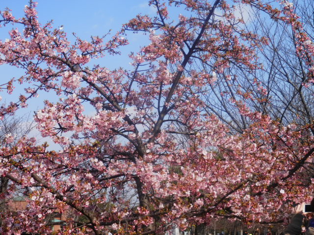 20140315_14