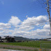 P8041795