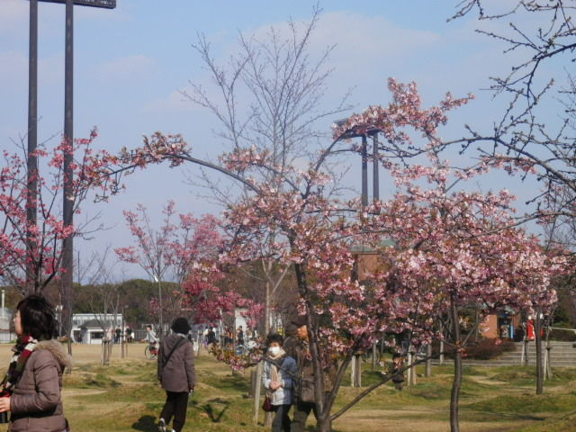 20140315_13