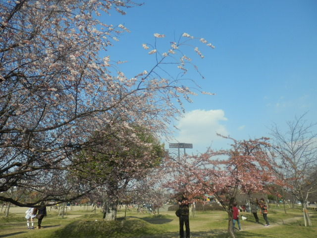 20140315_17