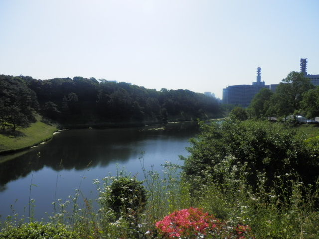 20130524_24