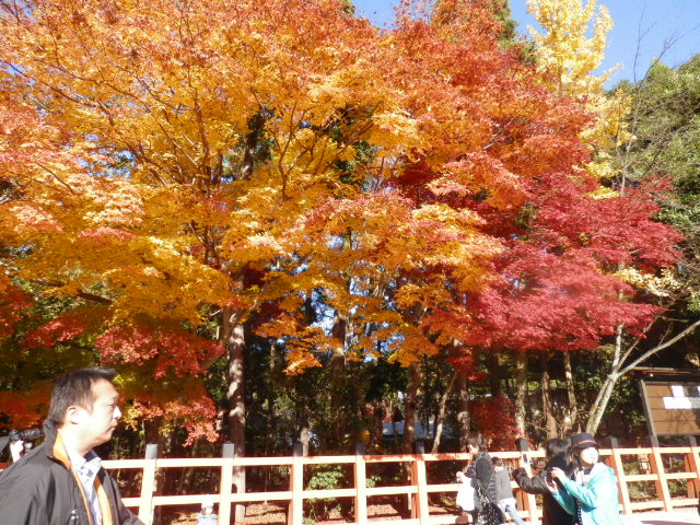 20121125_30