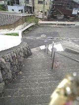f8450628.jpg