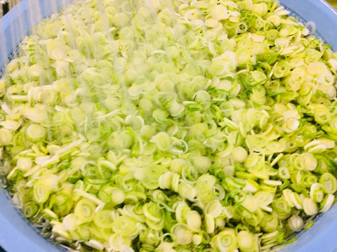 B3C6F8D6-5795-4940-9091-D91C49D9AF13