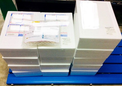 2DC2423F-3987-40CE-958F-1B435BD7A6B2