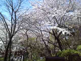 a40ef4d7.gif