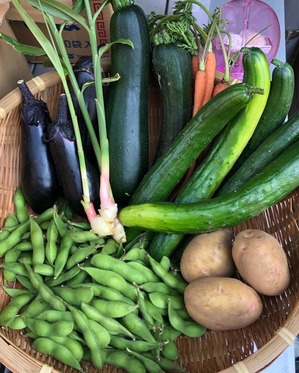 55D85CAB-5ECA-4BF1-9417-5D1A2A827726