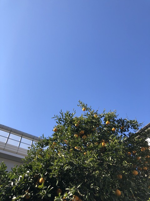 A2D409A4-954B-4E78-AD13-365C1E350777