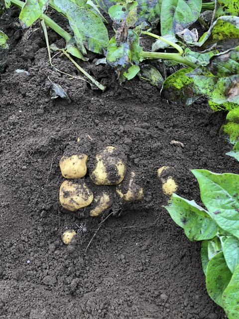 C5D36D13-E9FA-45B0-A74F-56B3D49C6F7E