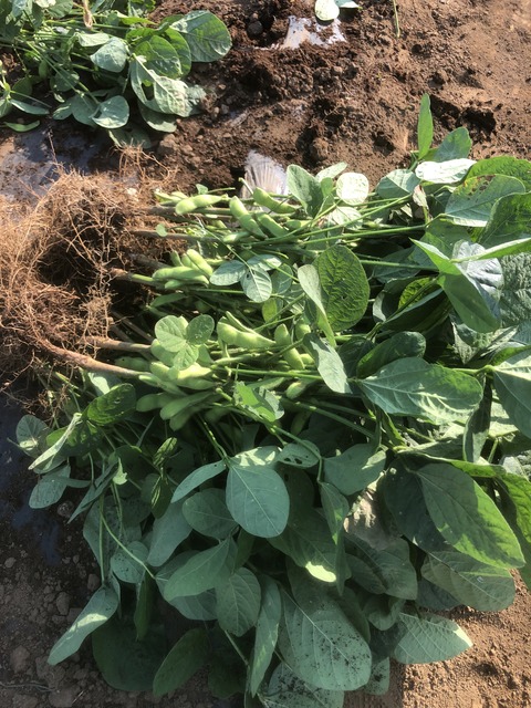 089B97EF-3580-4CDC-A125-D590564DA825