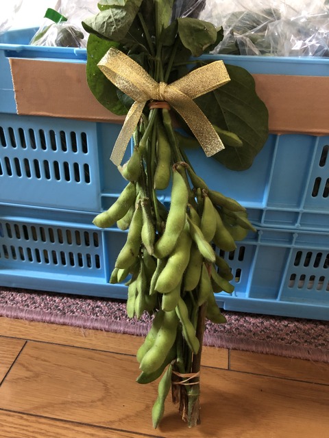 0DE47D3F-8BC9-4FCC-A1F8-C647215D2B0C